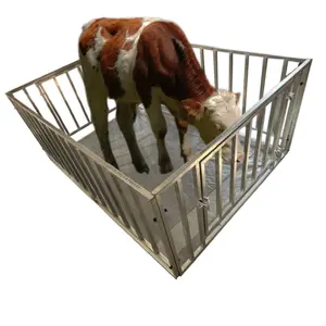 Electronic Animal Livestock Weight Floor Scale 1ton 2ton 3ton Digital Cattle Measuring Weighting Scale Cattle Scales With Fence