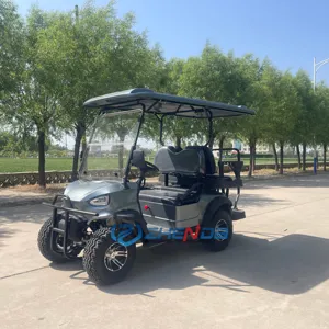 Hot Sale Factory Direct New Design Golf Cart Body 4 Seat Electric Golf Cart