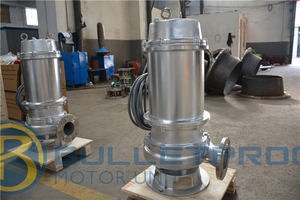 Bulletproof Explosion Proof Submersible Sewage Handling <b>Pump</b> SS304/SS316 3 Phase 50Hz/60Hz 2.2-550 kW 100-600 M/h Flow 5-110m - Product Image 3