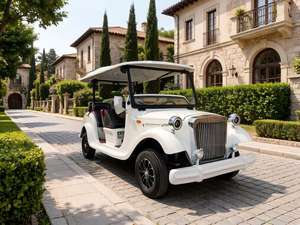 Nuevo Modelo de Auto Clásico Vintage de 5-11 Asientos, Gran Capacidad de Subida, Bajo Consumo de Energía, Conducción Silenciosa, Fácil Mantenimiento, Certificado para Venta al Por Mayor - Product Image 1