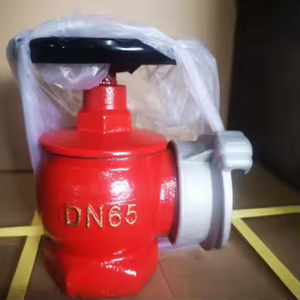 Idrante antincendio in ghisa da 2,5 pollici per interni, DN50 DN65, con doppia uscita e valvola angolare russa, a prezzo di fabbrica - Product Image 2