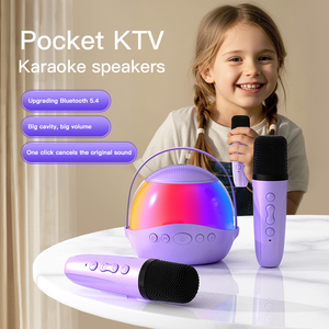 Altoparlante Karaoke Tascabile con Luci LED, Microfoni Wireless, Modificatore di Voce, Regalo di Compleanno per Ragazze, Supporto Scheda TF - Product Image 1