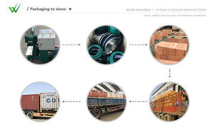 Máquinas Weiwei Equipamentos Agrícolas Baratos Fish Feed Processing Machines Preço 40-100 kg/h Pequeno agregado familiar Aves Frango Feed - Product Image 6