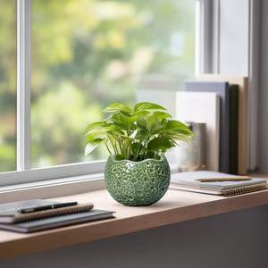 Maceta de Cerámica Verde Oliva Degradado con Orificio de Drenaje, Autorriego, Ligera (3 kg), Diseño Moderno para Uso Interior/Exterior - Product Image 5