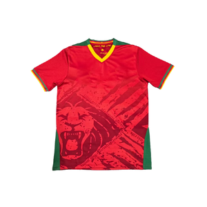 2526 Kamerun Nationalmannschaft Kamerun Fußballverein Günstiges Sommer-Kurzarm-Fußballtrikot für Erwachsene - Product Image 3