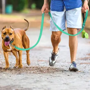 Heavy Duty Reflective Nylon Tape Lead For Pets Reflective Dog Leash