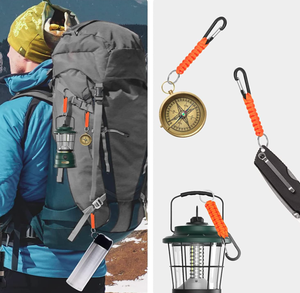 Edelstahl-Clip-On Schlüsselanhänger Karabiner Mini-Schnapphaken für Rucksack Geldbörse Outdoor-Ausrüstung Großhandel - Product Image 2