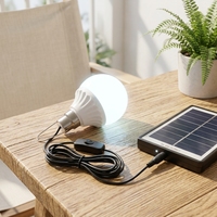 Ampoule LED DC5V pour usage extérieur avec câble de 2,8 m, prise DC5521, interrupteur marche/arrêt, crochet métallique pour un accrochage facile, IRC 80, 3000K/6500K
