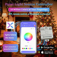 Source de lumière LED architecturale de 66 mm, programmable SPI, étanche IP68, éclairage de parc à thème, 24V
