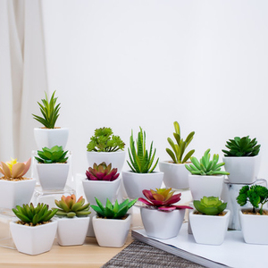 Barato de la fábrica al por mayor mini <span class=keywords><strong>cactus</strong></span> surtido interior decorativo artificial plantas suculentas macetas para laventa - Product Image 6