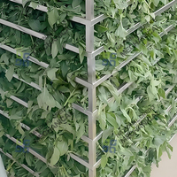 Commerciële droogmachine voor verse moringa bladeren, groentedroger, verwerkingslijn