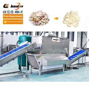 Công nghiệp gừng tỏi dán máy làm hành tây và tỏi muối Bột Lột dây chuyền sản xuất - Product Image 4