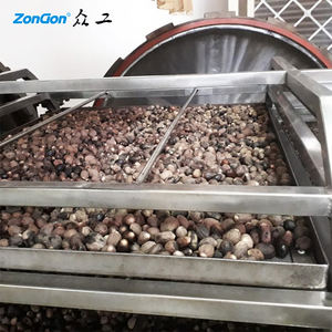 Zhonggong Machines Chili Poeder Stoomsterilisator Met Drogen Functie - Product Image 4