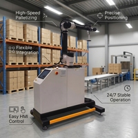 Robot Inteligente de Paletización con Programación IA, Apilador Robótico para Manejo de Cajas y Bolsas Mixtas en Almacenes de Logística de Comercio Electrónico