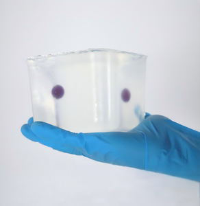 Fantom de entrenamiento de hidrogel de modo dual sensible a la temperatura y con cambio de color para simulación médica de punción y ablación - Product Image 4