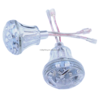 2025 nouveau 60mm carnaval Turbo lampe 24V carrousel rvb Cabochon lumières Programmable UCS1903 Funfair Point lumière