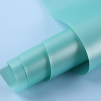 Feuilles de plastique pour papeterie personnalisables, translucides, nacrées, givrées, imperméables, en PVC souple double face de 0,3 mm, KEMING