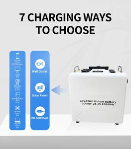 Generador <span class=keywords><strong>Solar</strong></span> <span class=keywords><strong>de</strong></span> 3000W, 2688Wh <span class=keywords><strong>de</strong></span> Capacidad, LiFePO4, Inversor <span class=keywords><strong>de</strong></span> Onda Sinusoidal Pura y Función UPS para Respaldo Doméstico y Actividades, Pedidos OEM/ODM - Product Image 5