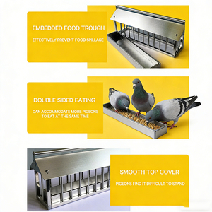 Mangeoire multifonctionnelle en acier inoxydable pour <span class=keywords><strong>pigeons</strong></span>, fournitures pour l'élevage de <span class=keywords><strong>pigeons</strong></span> <span class=keywords><strong>voyageurs</strong></span> - <span class=keywords><strong>Vente</strong></span> en gros - Product Image 5