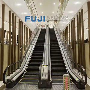 Chất lượng cao thang cuốn Trung Quốc Fuji giá của Mini <span class=keywords><strong>Home</strong></span> thang cuốn hành khách thang cuốn - Product Image 1