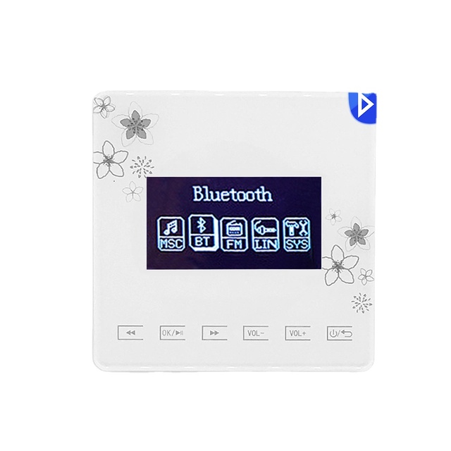 PW215A Digital Amplifier BluetoothS Stereo in Wall Amplifier for Smart Audio Support BluetoothS, TF Card, USB