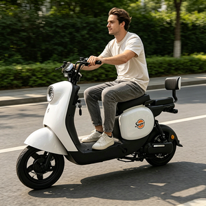 Vélo électrique à batterie au plomb <span class=keywords><strong>pour</strong></span> livraison en gros, avec pneus pleins anti-crevaison de 14 pouces et cadre robuste <span class=keywords><strong>pour</strong></span> usage quotidien - Product Image 5