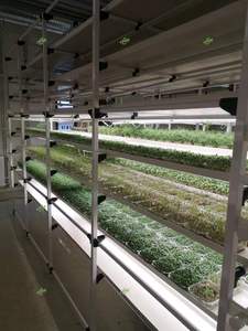 Sistema de Cultivo Vertical de 6-2 Niveles para Microgreens, Hidropónico, con Bomba y Circulación Automática de Agua, en Venta - Product Image 5