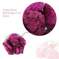 Novenzyme Bulk Rode Gefreeze-droogde Pitaya Gefreeze-droogde Drakenvrucht Schijfjes