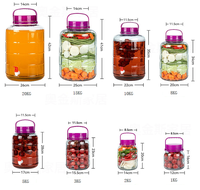 Bocaux en verre pour infuser des liqueurs et du vin de baies, stockage alimentaire écologique, capacité 500-1000 ml, pour la mise en conserve des légumes, usage domestique