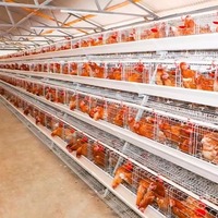 Cage à poules pondeuses de type A à 3 ou 4 niveaux, galvanisée, pour 96, 128, 160, 120 oiseaux, cage en batterie pour poules pondeuses, équipement d'élevage