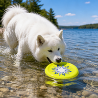 Disque volant pour chien en TPU jaune fluorescent, 220/230/240 mm, jouet interactif pour chien