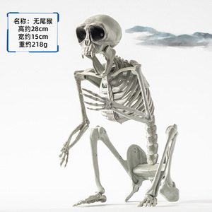 Ngôi Nhà Ma Ám Halloween tối Khủng Bố Bộ xương động vật phát sáng trang trí đạo cụ con chó con chim con Khỉ Con Mèo quạ cá vịt ếch con rắn - Product Image 3