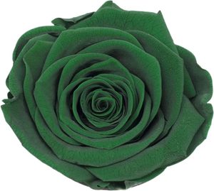 Têtes de roses fraîches OEM Real Touch Grade B, roses éternelles préservées avec boîte, matériau décoratif - Product Image 3
