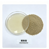 Poudre de démarrage pour bactéries acétogènes Acetobacter 10 milliards UFC/g, dédiée à l'industrie de l'oxydation de l'éthanol et de la fermentation du vinaigre