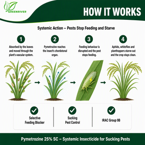 GREENRIVER Pymetrozina 25% SC <span class=keywords><strong>Insecticida</strong></span> CAS 123312-89-0 IRAC Grupo 9B Bloqueador de Alimentación - Product Image 3