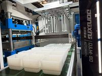 DM-60 3/4 Stations Automatische Plastic Thermoformmachine voor Clamshell Fruitverpakkingen Hoge Snelheid Hoge Kwaliteit