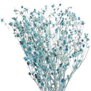 Fruit préservé de la Saint-Valentin et eryngo <span class=keywords><strong>Eryngium</strong></span> <span class=keywords><strong>foetidum</strong></span> de haute qualité les plus populaires pour la décoration intérieure - Product Image 2