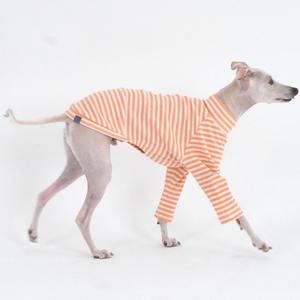 Qiqu perlengkapan hewan peliharaan kaus garis kustom ramah lingkungan lucu pakaian Anjing Greyhound Italia 100% katun bergaris kaus kain bergaris - Product Image 3