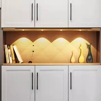 Barres lumineuses LED rechargeables USB-C avec détecteur de mouvement, intensité réglable, veilleuse portable à induction pour armoire, cuisine et chambre