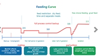 Système d'alimentation automatique intelligent Ejoy pour truies, station d'alimentation individuelle de précision pour élevages porcins commerciaux