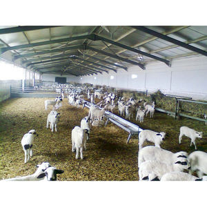 Recinto <span class=keywords><strong>per</strong></span> Capre con Gabbia Zincata <span class=keywords><strong>per</strong></span> Allevamento - Product Image 4