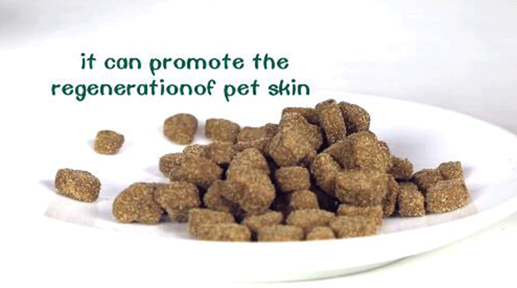 Питомцы, продукты питания, суперконцентрированный органический Лецитин