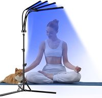 Lampe de physiothérapie à 4 têtes pour le visage et le corps, soin de la peau, bain de lumière solaire, lampe de beauté à lumière noire