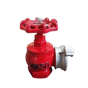 Hidrante contra incendios ruso de hierro fundido OEM 65-16K65 GOST PN16 para interiores, con logotipo y tamaño personalizables - Product Image 2