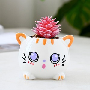 กระถางเซรามิคลายการ์ตูนแมวน่ารักสไตล์เกาหลี MSH พร้อมรูระบายน้ำ - Product Image 3