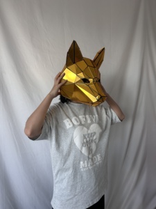 Halloween Offre Spéciale <span class=keywords><strong>Miroir</strong></span> Doré Tête Complète DJ Masque Casque <span class=keywords><strong>Animal</strong></span> Masque avec <span class=keywords><strong>Miroir</strong></span> <span class=keywords><strong>Homme</strong></span> Design pour Scène Performance Ballroom Wear - Product Image 5