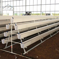 Système hydroponique de gouttière de plantation d'agriculture verticale de fraise