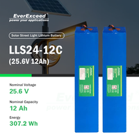 Baterai Surya LiFePO4 Langsung dari Pabrik dengan BMS Terintegrasi untuk Penyimpanan Energi Lampu Jalan, Sistem Off Grid, dan Daya Portabel