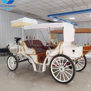 2025 Hot Electric Horse Powered Carriage Wedding Carruaje Fabricante Wedding Vehicle Wagon Carruaje eléctrico en stock para la venta - Product Image 2