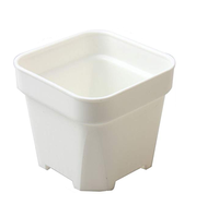 Pot Tanaman Sukulen Plastik PP Tebal Persegi Ramah Lingkungan Putih Hitam Tinggi 12cm Diameter 11cm Modern untuk Meja dan Lantai 93g